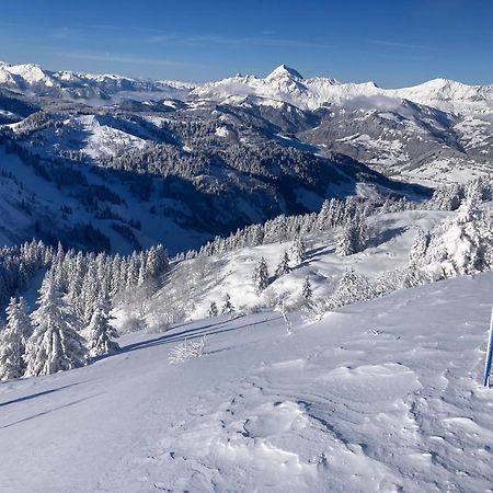 Chalets Savoie Les Chalets D'Heidi Нотр-Дам-де-Белькомб Екстер'єр фото