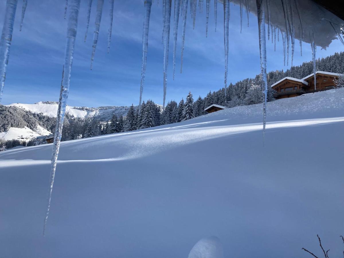 Chalets Savoie Les Chalets D'Heidi Нотр-Дам-де-Белькомб Екстер'єр фото