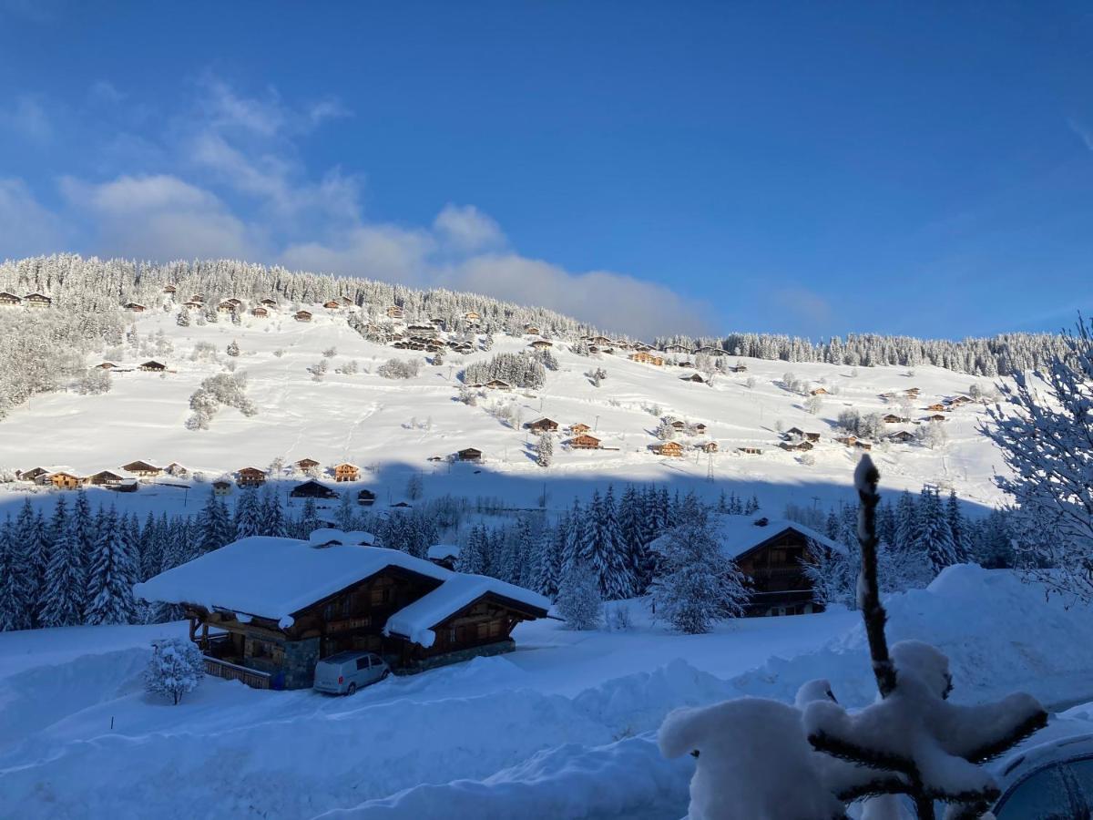 Chalets Savoie Les Chalets D'Heidi Нотр-Дам-де-Белькомб Екстер'єр фото