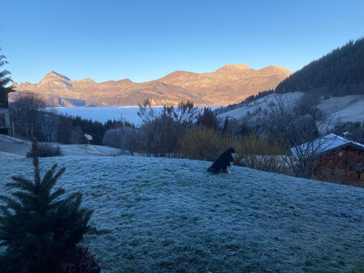 Chalets Savoie Les Chalets D'Heidi Нотр-Дам-де-Белькомб Екстер'єр фото