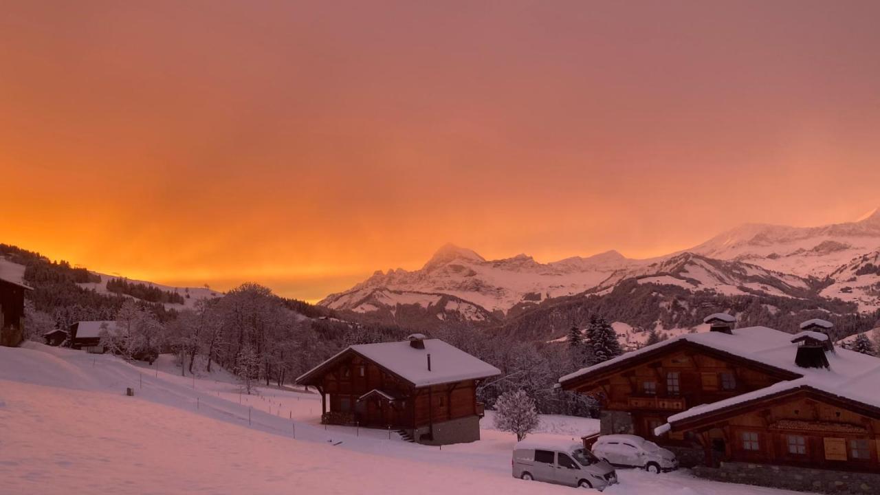 Chalets Savoie Les Chalets D'Heidi Нотр-Дам-де-Белькомб Екстер'єр фото