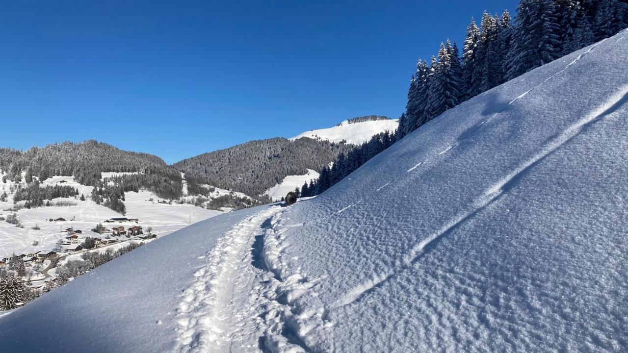Chalets Savoie Les Chalets D'Heidi Нотр-Дам-де-Белькомб Екстер'єр фото