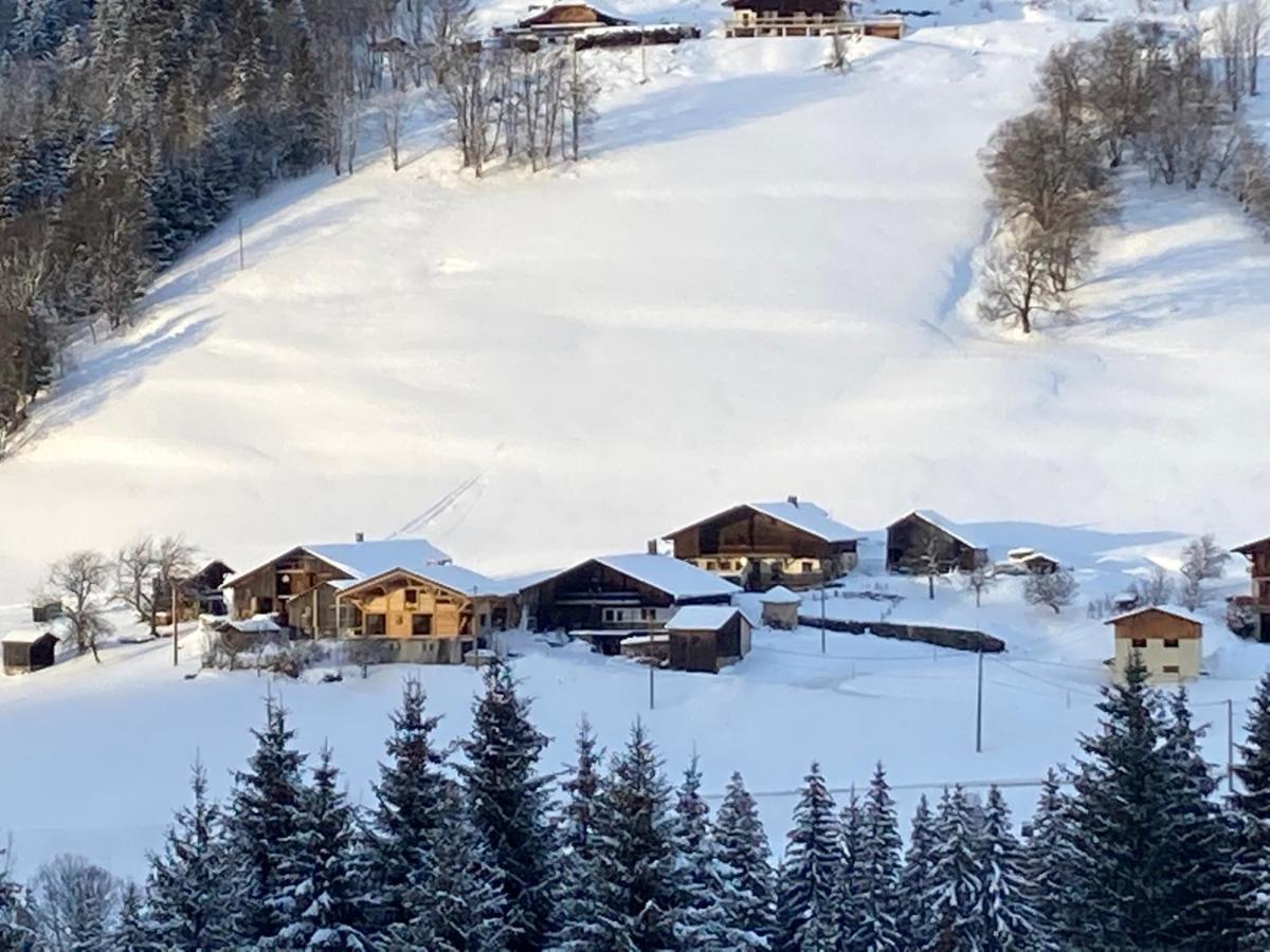 Chalets Savoie Les Chalets D'Heidi Нотр-Дам-де-Белькомб Екстер'єр фото