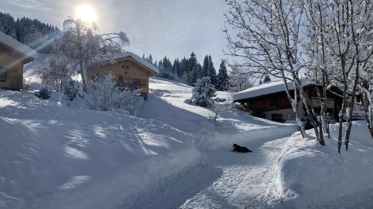 Chalets Savoie Les Chalets D'Heidi Нотр-Дам-де-Белькомб Екстер'єр фото