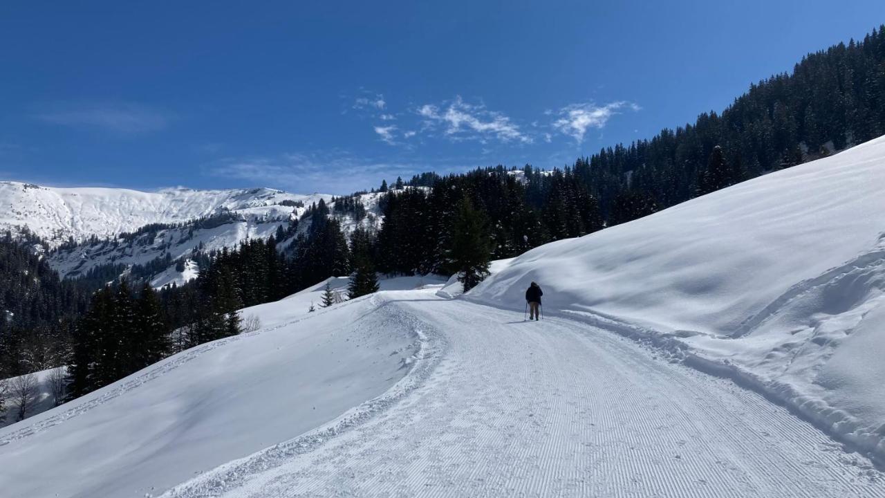 Chalets Savoie Les Chalets D'Heidi Нотр-Дам-де-Белькомб Екстер'єр фото