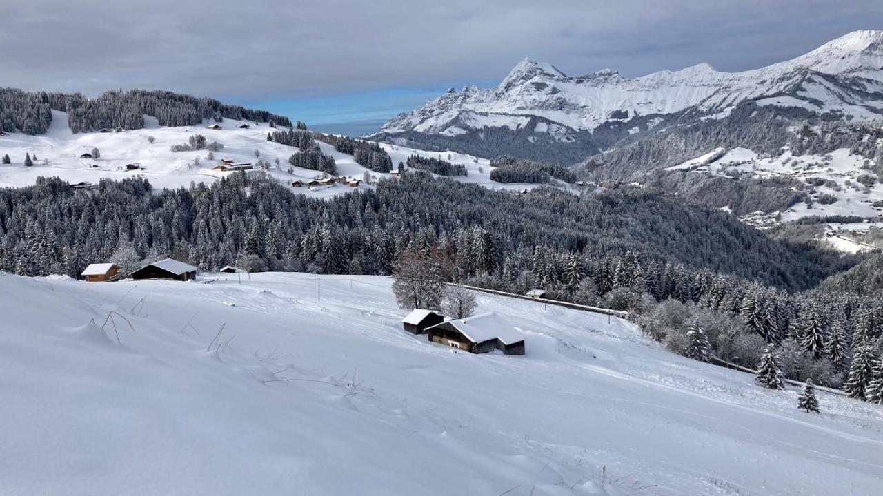 Chalets Savoie Les Chalets D'Heidi Нотр-Дам-де-Белькомб Екстер'єр фото
