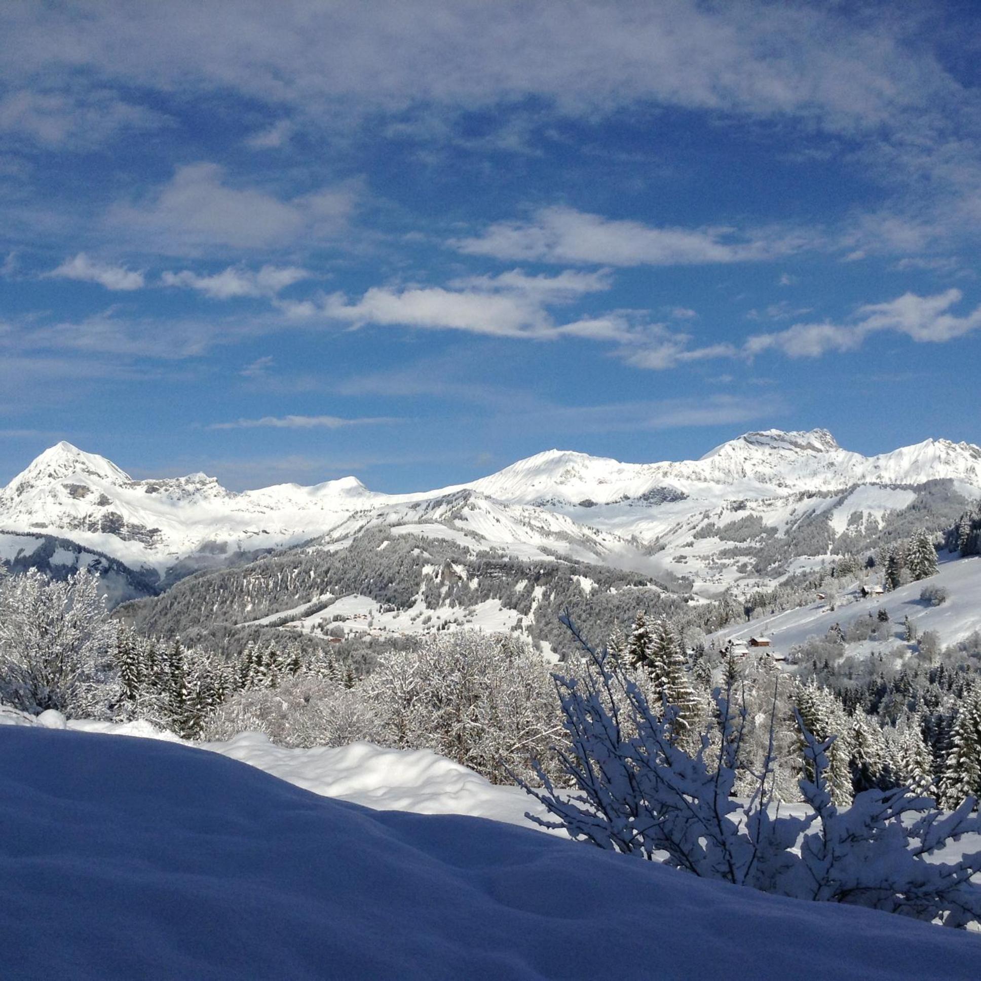 Chalets Savoie Les Chalets D'Heidi Нотр-Дам-де-Белькомб Екстер'єр фото