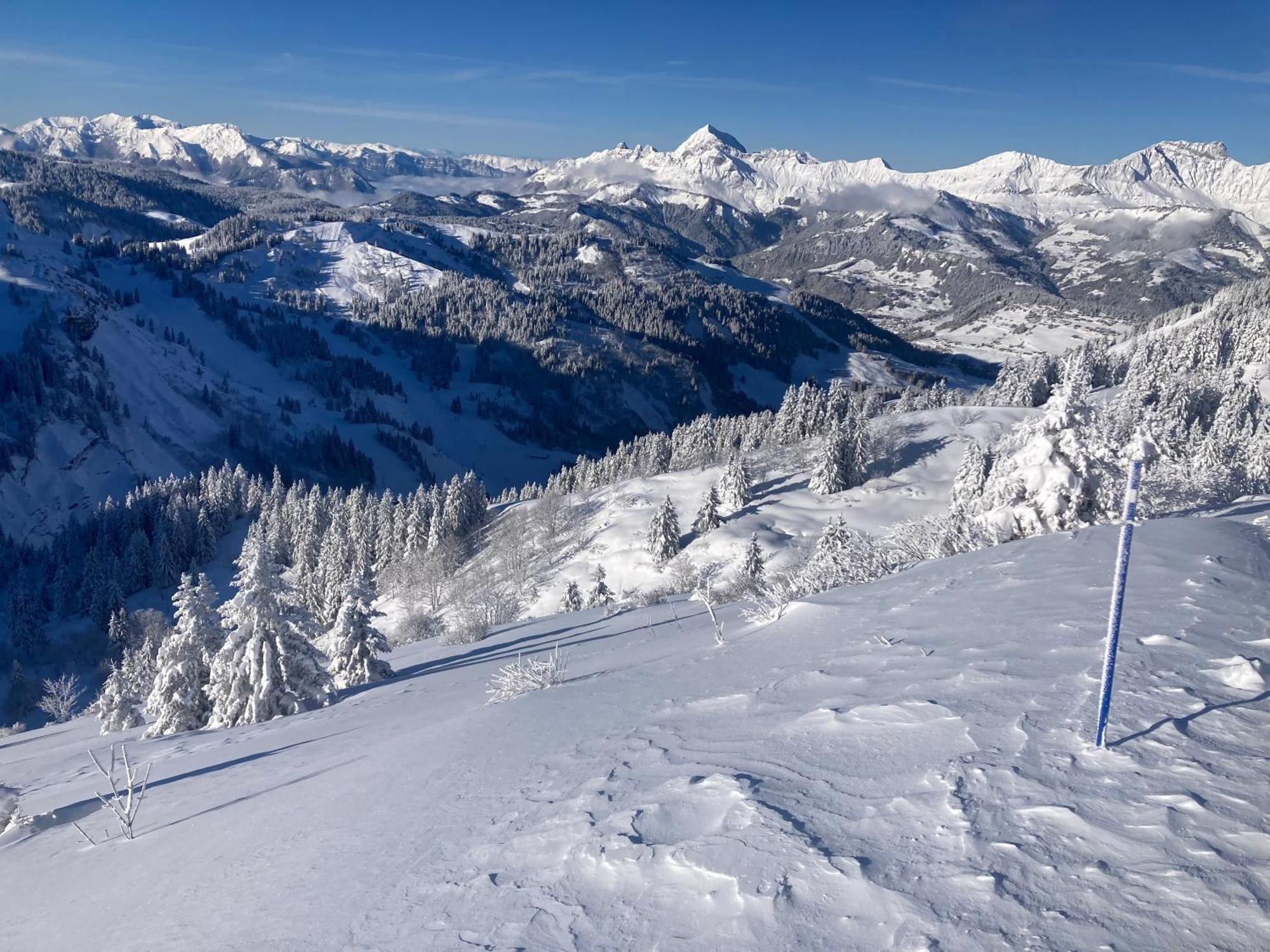 Chalets Savoie Les Chalets D'Heidi Нотр-Дам-де-Белькомб Екстер'єр фото