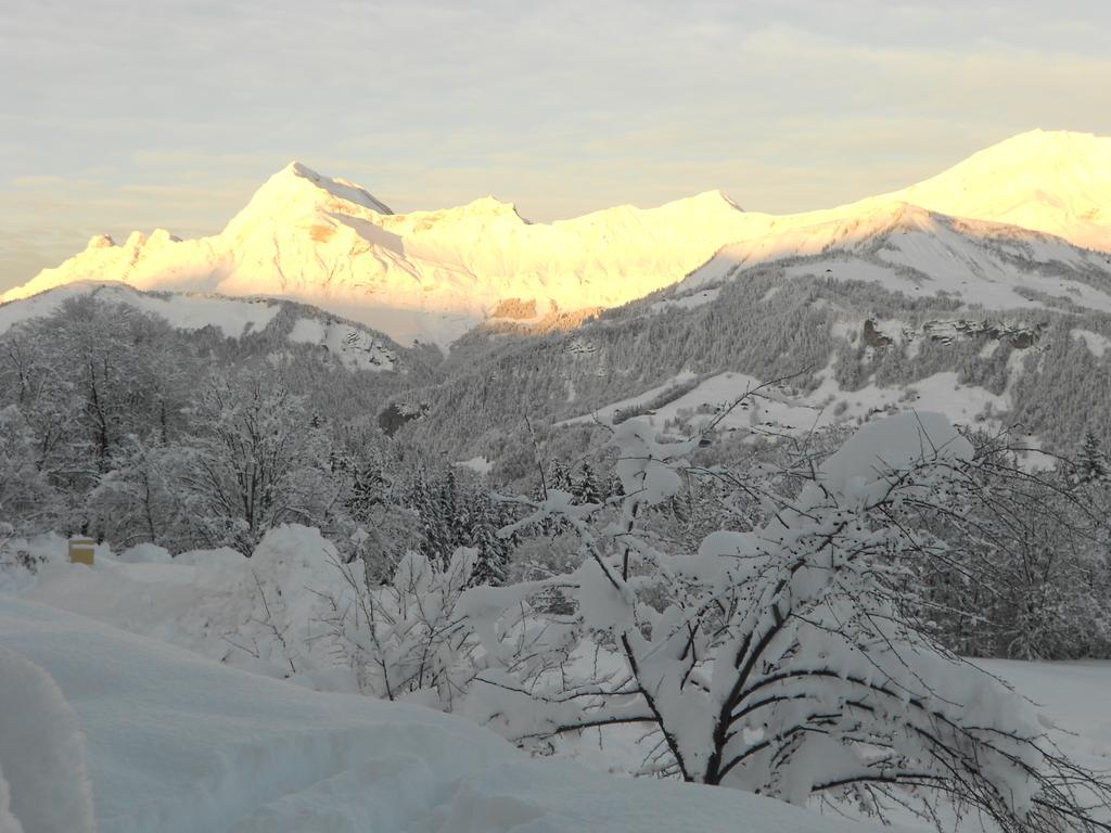 Chalets Savoie Les Chalets D'Heidi Нотр-Дам-де-Белькомб Номер фото