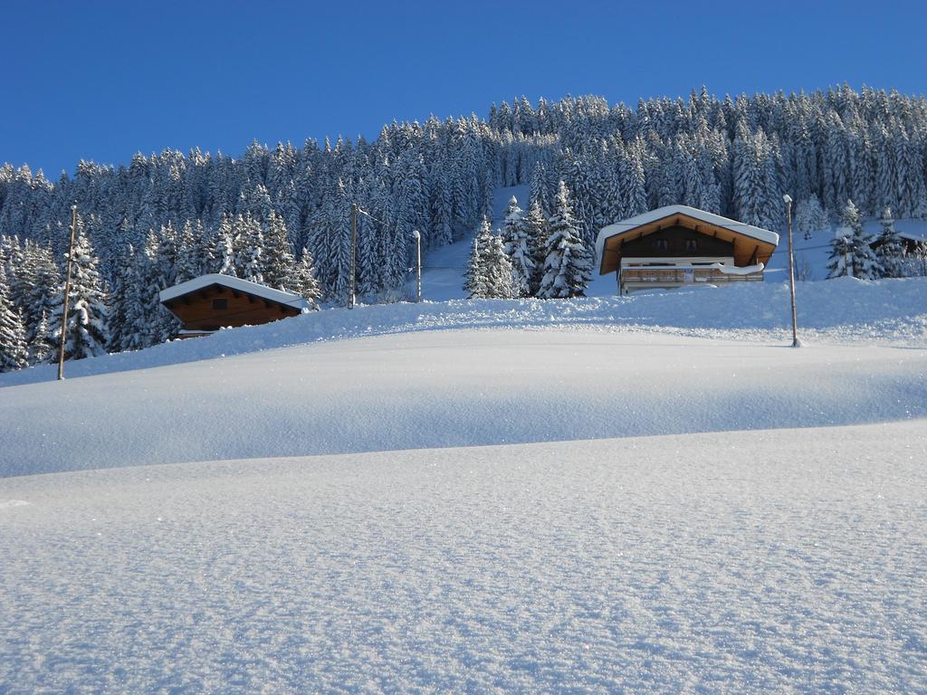 Chalets Savoie Les Chalets D'Heidi Нотр-Дам-де-Белькомб Екстер'єр фото