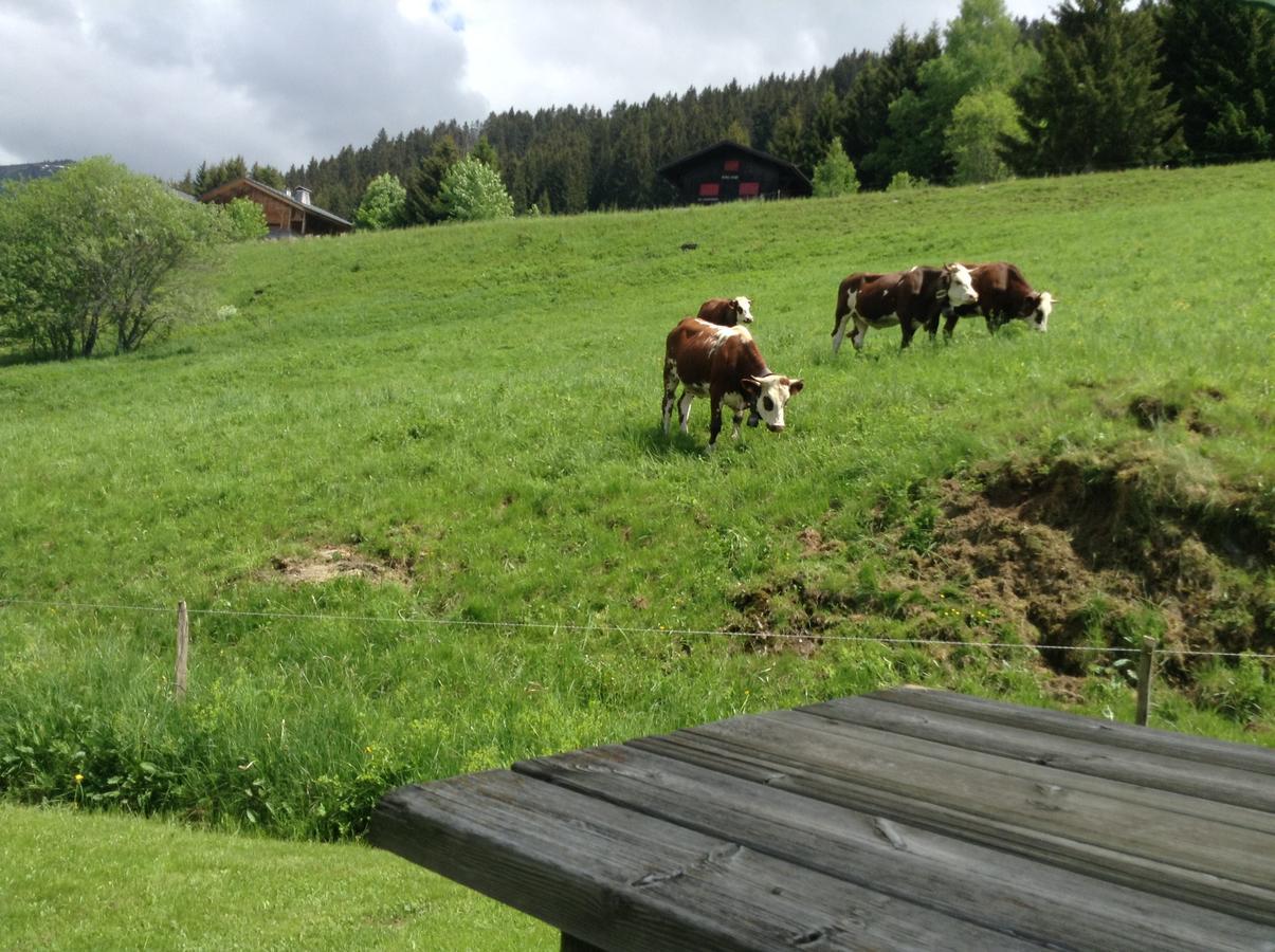 Chalets Savoie Les Chalets D'Heidi Нотр-Дам-де-Белькомб Екстер'єр фото
