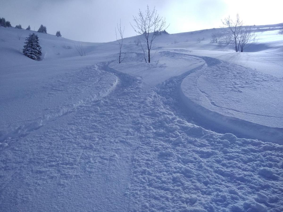 Chalets Savoie Les Chalets D'Heidi Нотр-Дам-де-Белькомб Екстер'єр фото