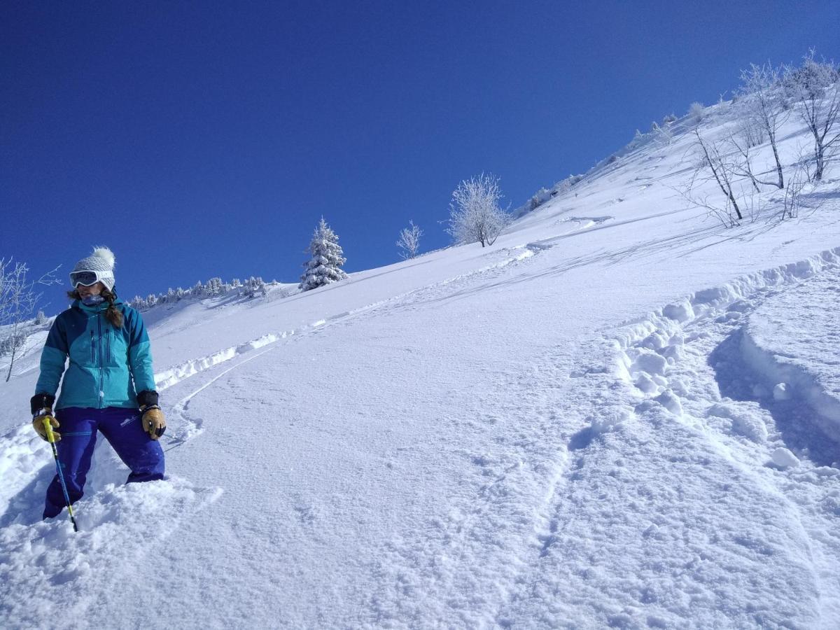 Chalets Savoie Les Chalets D'Heidi Нотр-Дам-де-Белькомб Екстер'єр фото